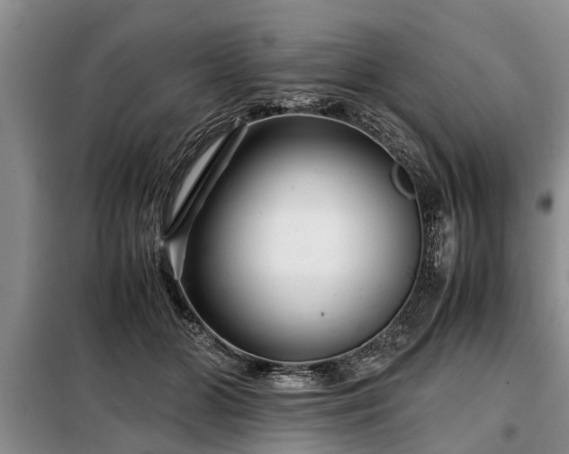 X0000099290510200805090934