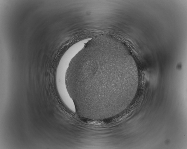 X0000099290511200805090934