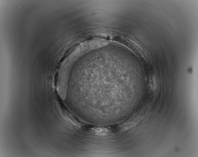 X0000099290512200805090934