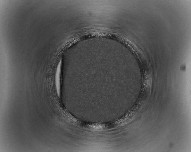 X0000099290513200805090934