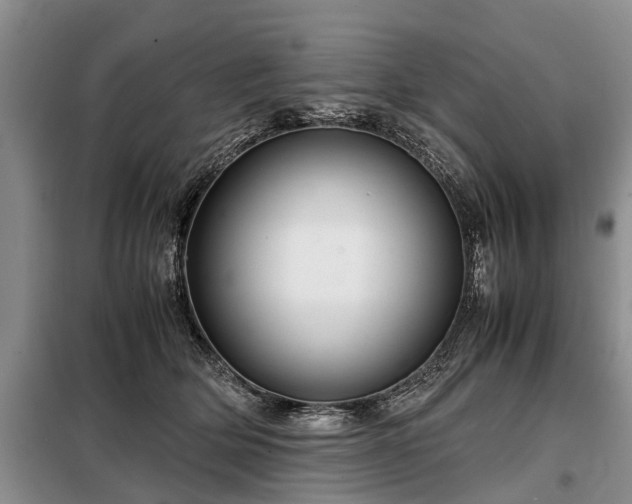 X0000099290514200805090934