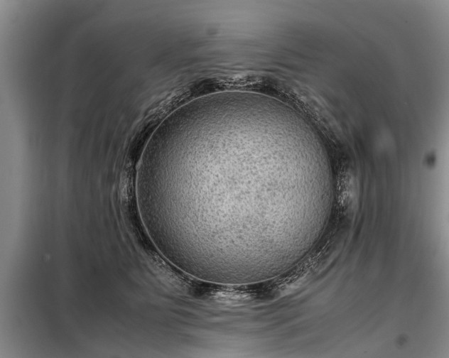 X0000099290515200805090933