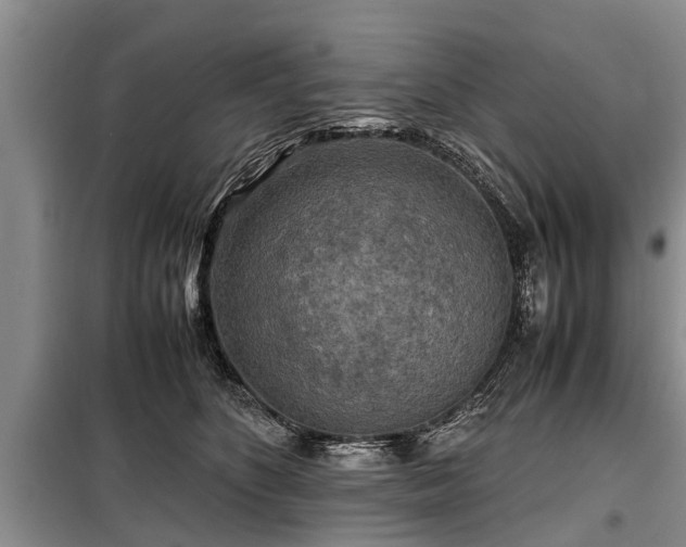 X0000099290516200805090933