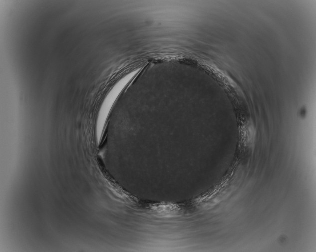 X0000099290517200805090933
