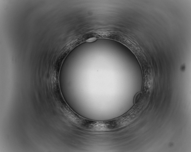 X0000099290518200805090933