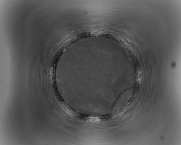 X0000099290519200805090933