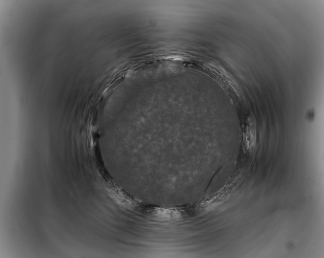 X0000099290520200805090933