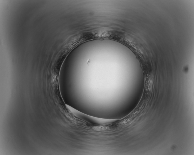 X0000099290521200805090933