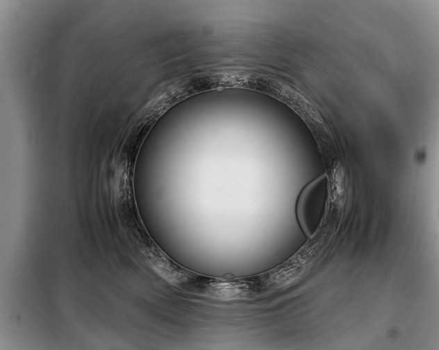 X0000099290522200805090933