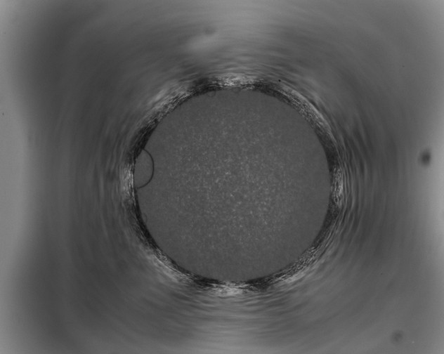 X0000099290523200805090933