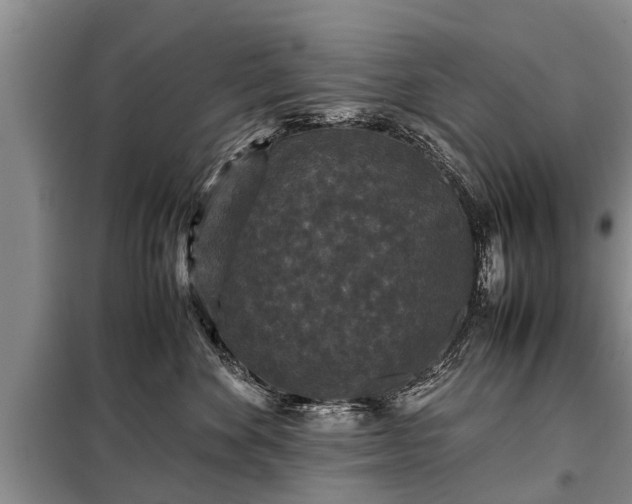 X0000099290524200805090933