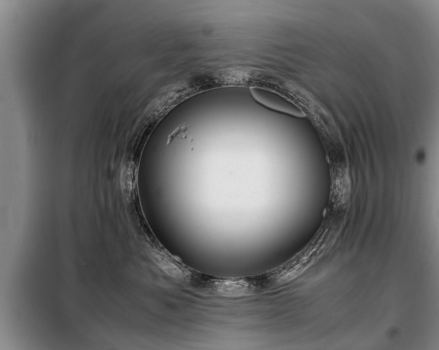 X0000099290525200805090933