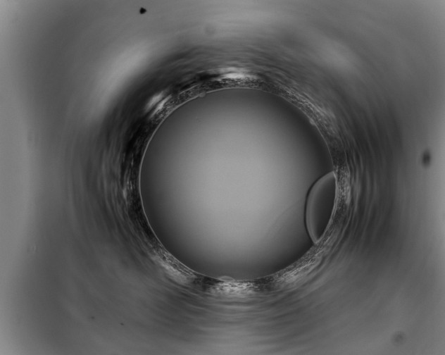 X0000099290526200805090933
