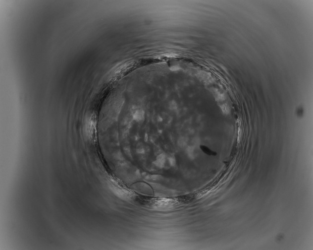 X0000099290527200805090933