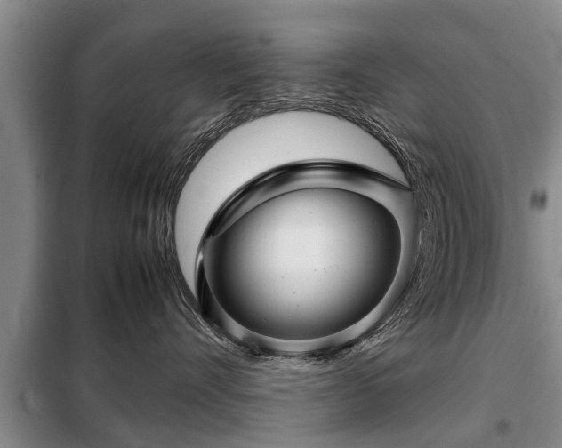 X0000099290528200805090933