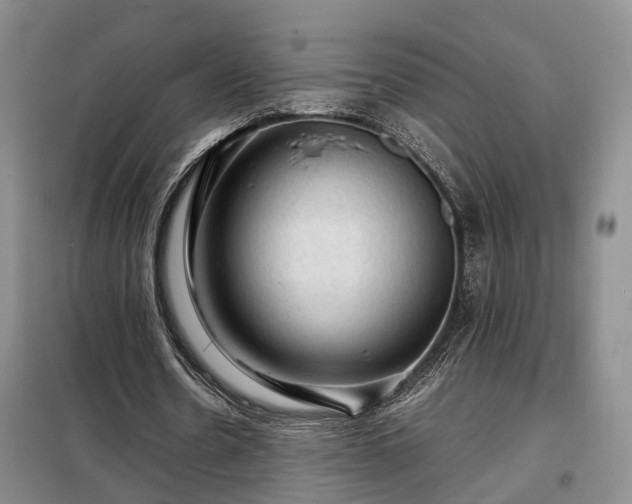 X0000099290530200805090933