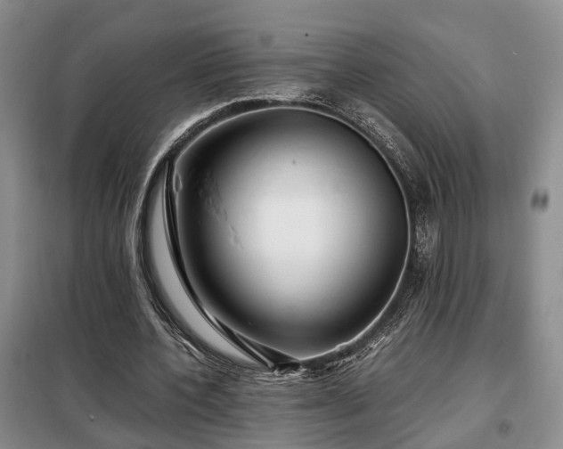 X0000099290532200805090933
