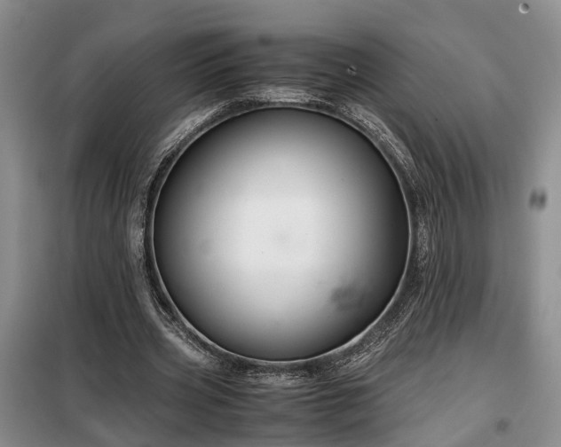 X0000099290533200805090933