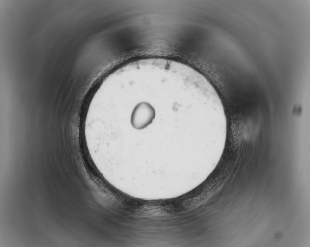 X0000099290534200805090933
