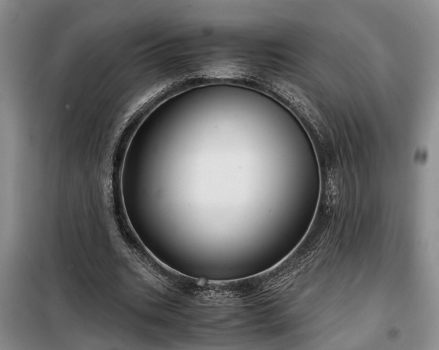 X0000099290535200805090933
