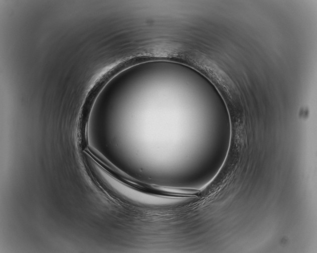 X0000099290536200805090933