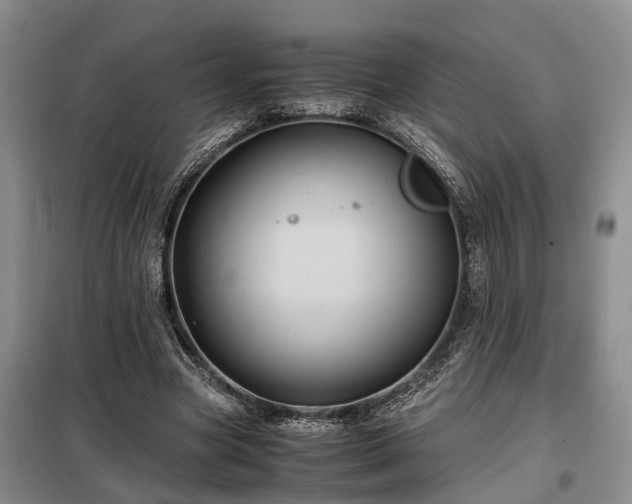 X0000099290537200805090933