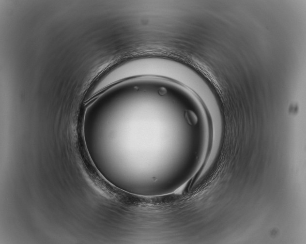X0000099290538200805090933