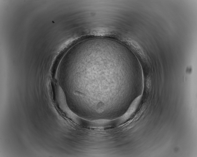 X0000099290540200805090933