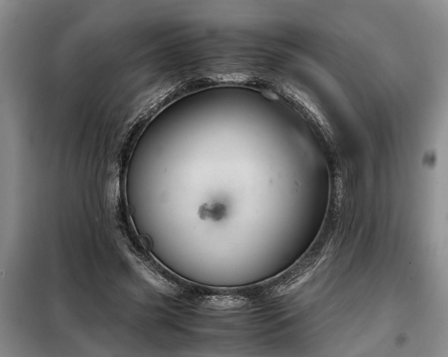 X0000099290541200805090933