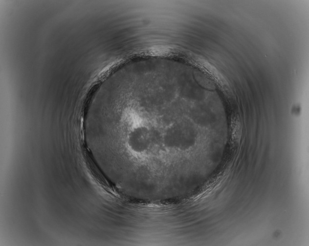 X0000099290542200805090933