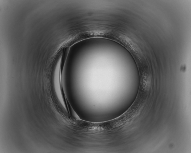 X0000099290543200805090933