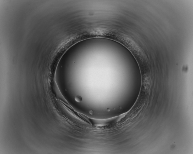 X0000099290544200805090933