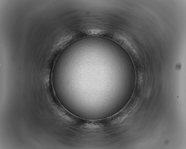 X0000099290545200805090933
