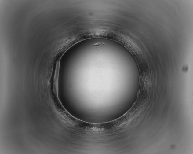X0000099290546200805090933