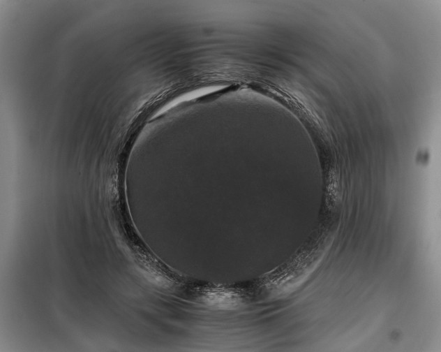 X0000099290547200805090933