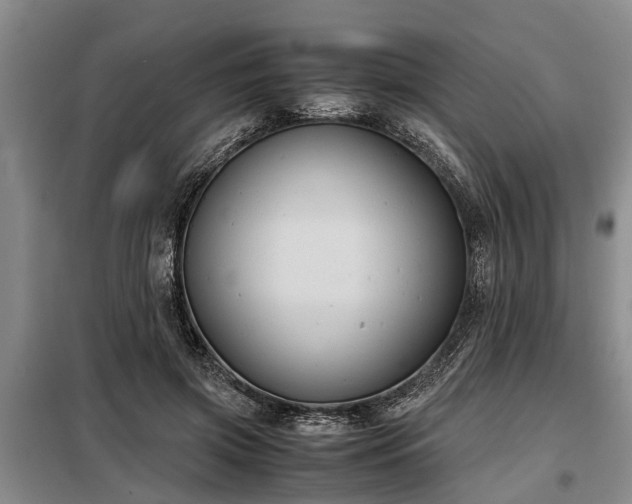X0000099290549200805090933
