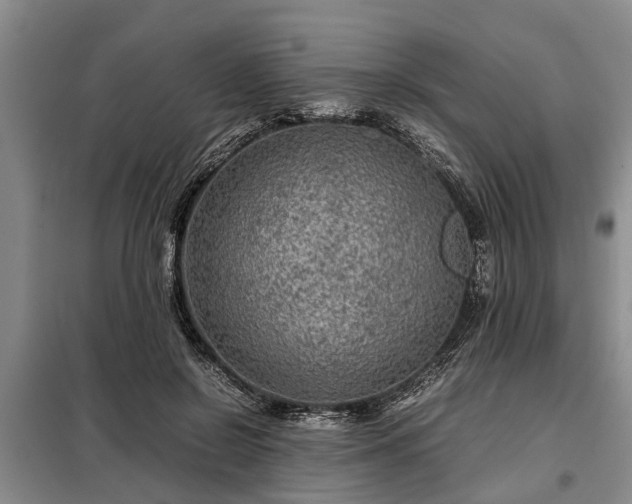 X0000099290550200805090933