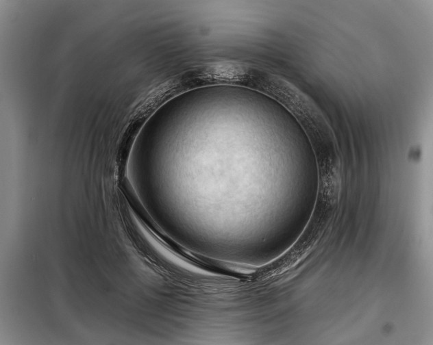 X0000099290552200805090933