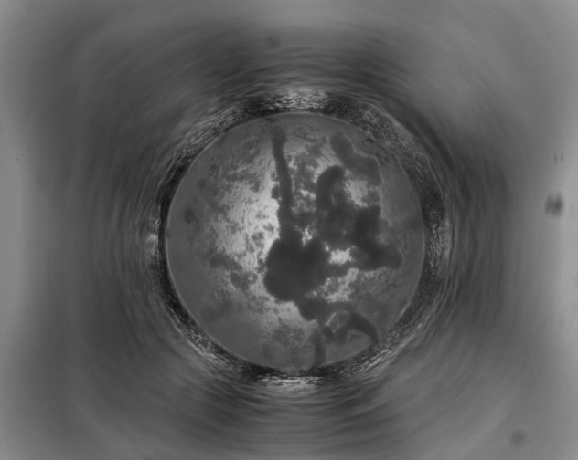 X0000099290553200805090933