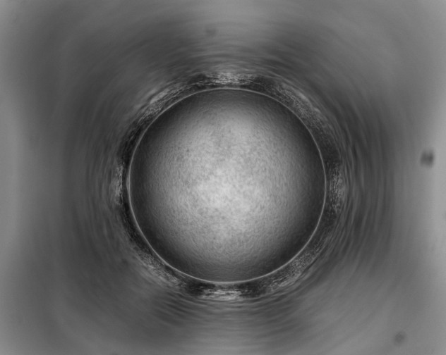 X0000099290554200805090933