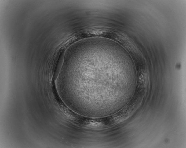 X0000099290555200805090933