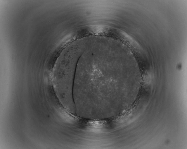 X0000099290558200805090933