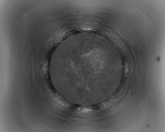 X0000099290559200805090933