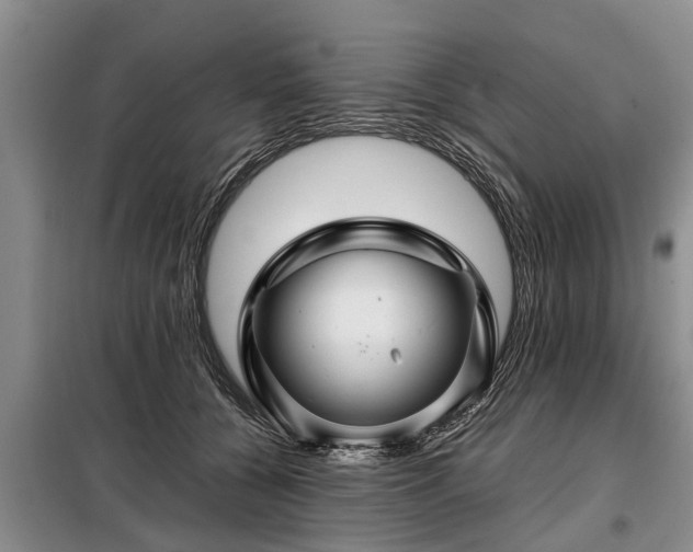 X0000099290560200805090933