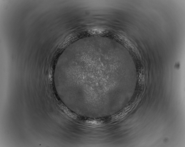 X0000099290561200805090933