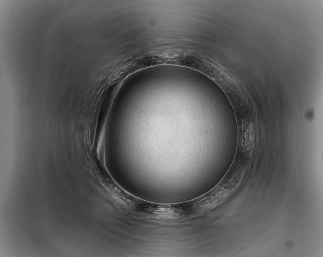 X0000099290562200805090933
