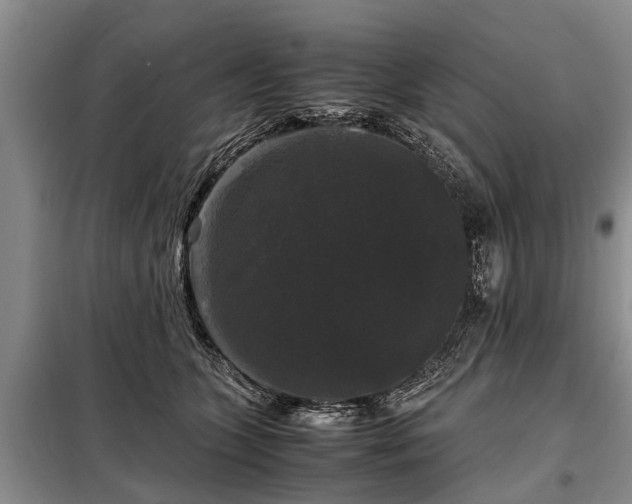 X0000099290563200805090933