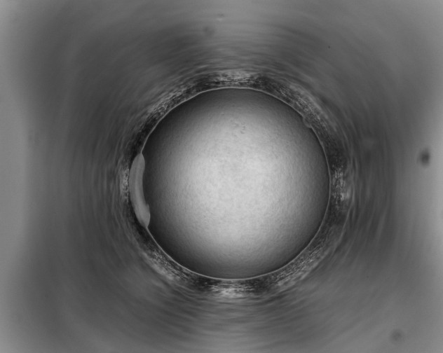 X0000099290564200805090933