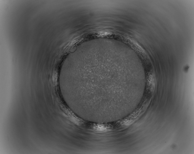 X0000099290565200805090933