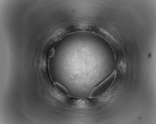 X0000099290566200805090933